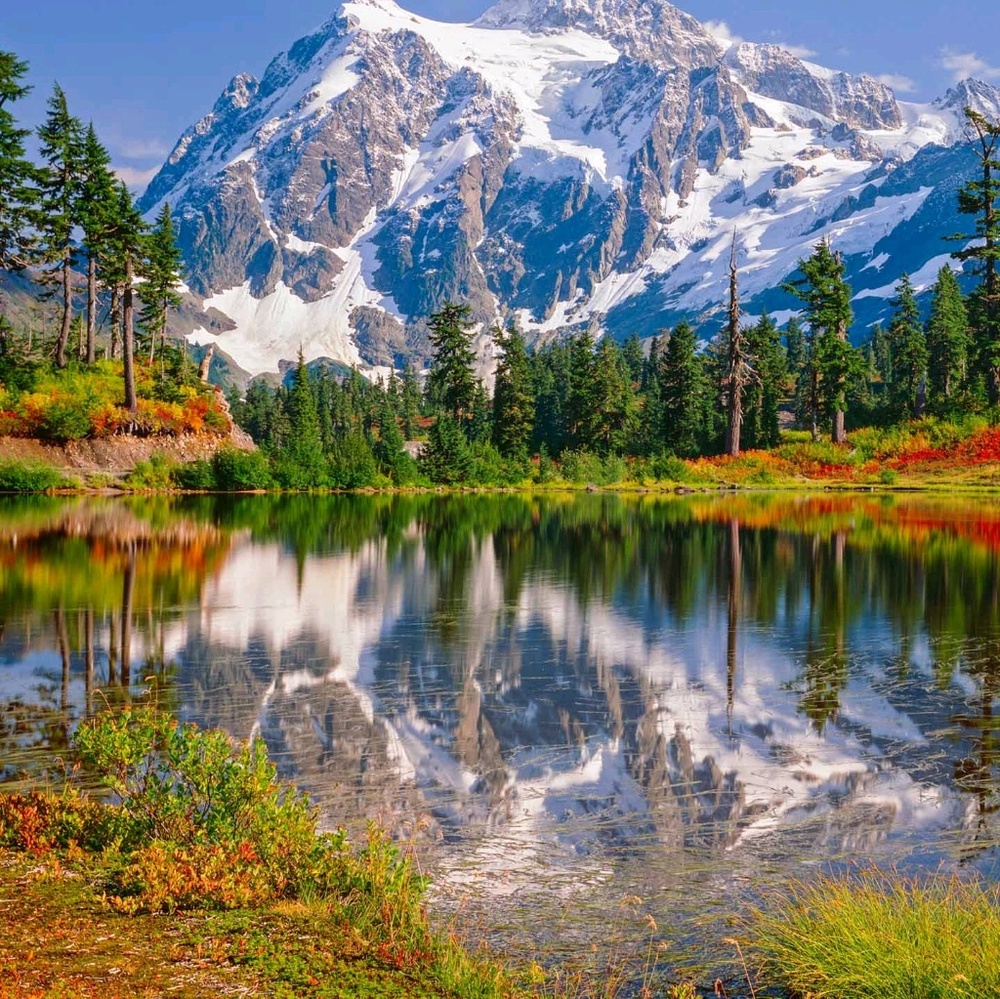 Meet your Posher, Maria